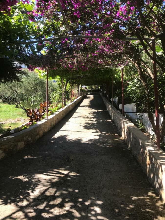 Knossos Aparthotel Pánormos Exterior foto